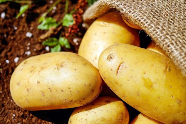Fresh Potato, 1kg