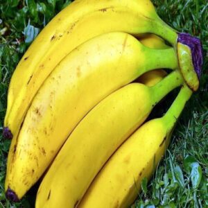 Banana , 1 Dozen