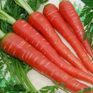 Carrot ,1 kg