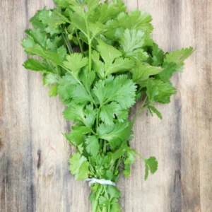 Fresh Coriander, 100 gms