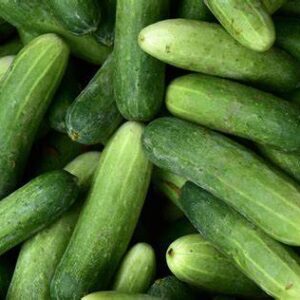 Fresh Cucumber, 1 KG