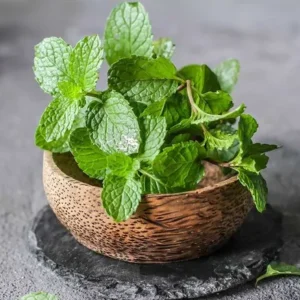 Mint Leaves(Pudina), 100g