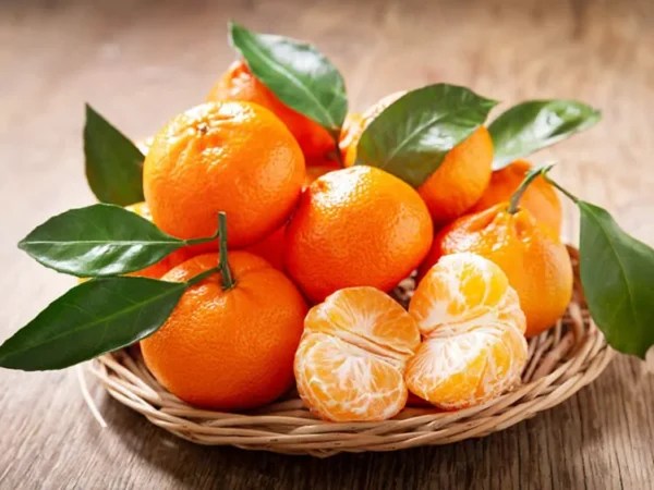 Fresh Orange , 1 kg