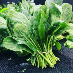 Fresh Spinach, 500 Gm